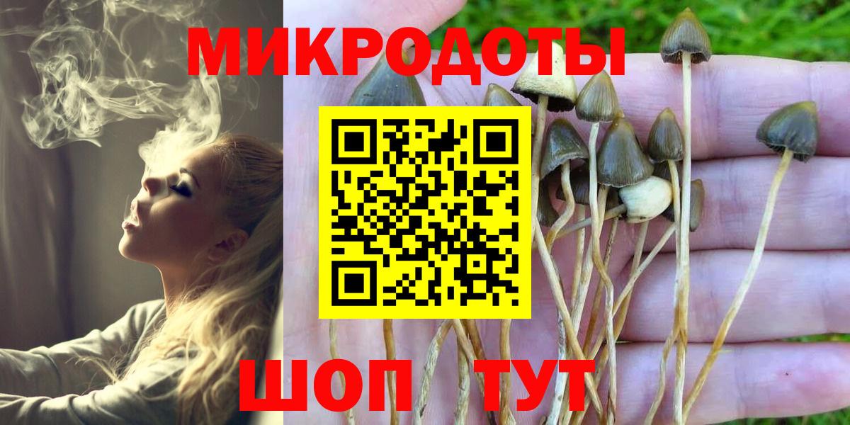 Псилоцибиновые грибы GOLDEN TEACHER Волгоград
